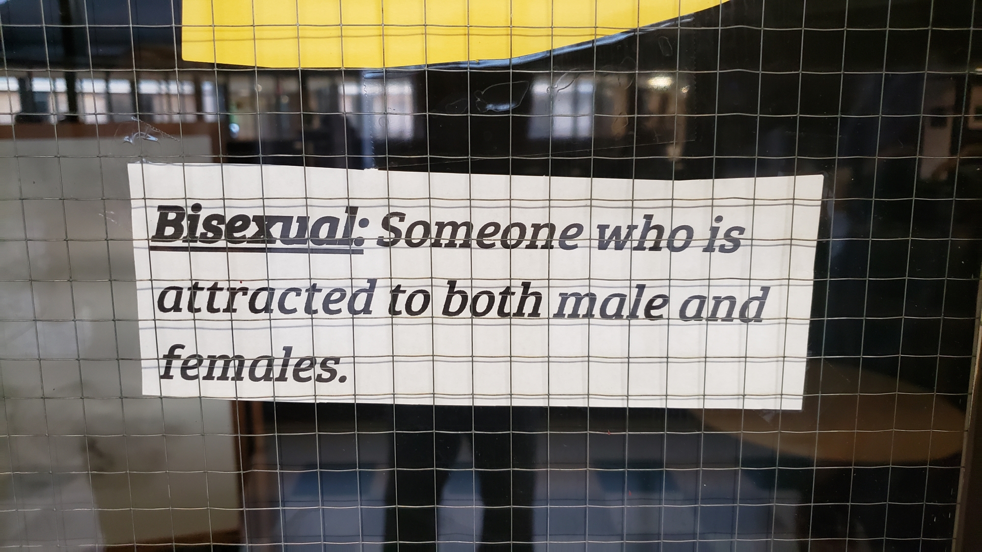 SM20190530 201255bisexual
