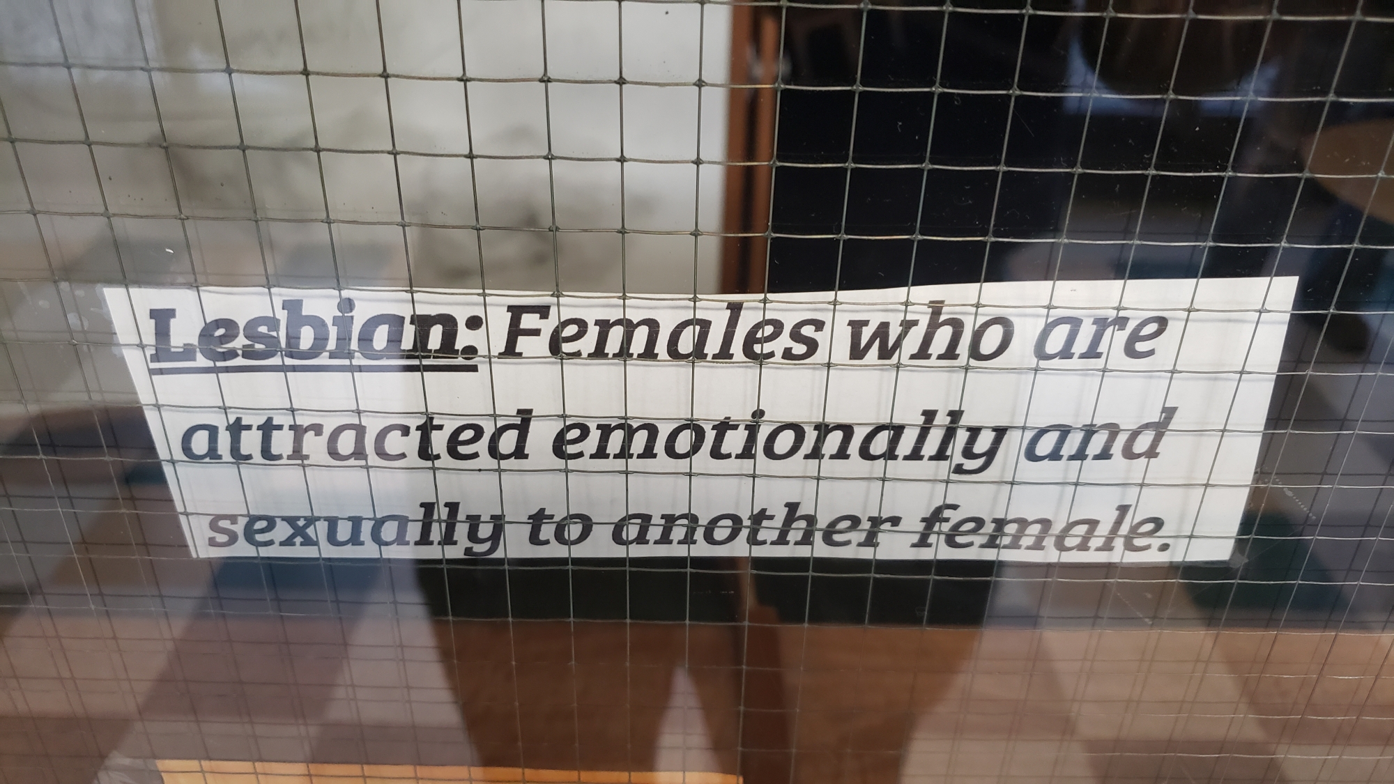 SM20190530 201305lesbian